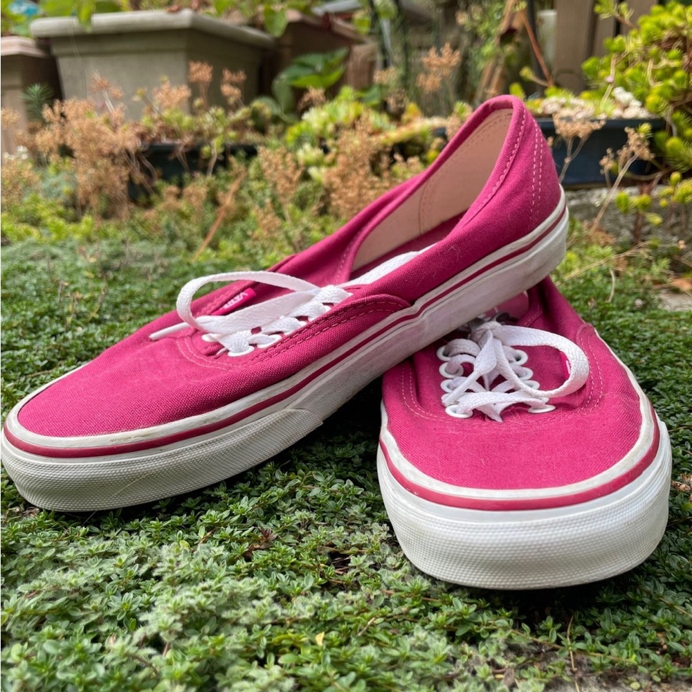 Vans authentic in Sangria